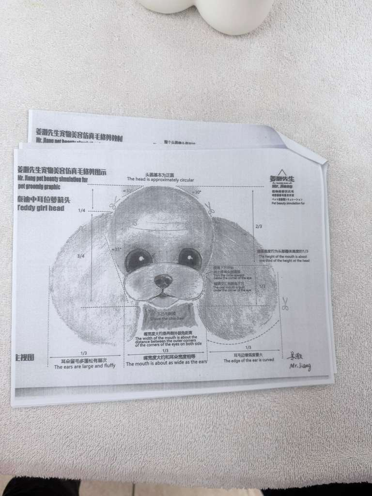 Contrato/Evaluación de estudio