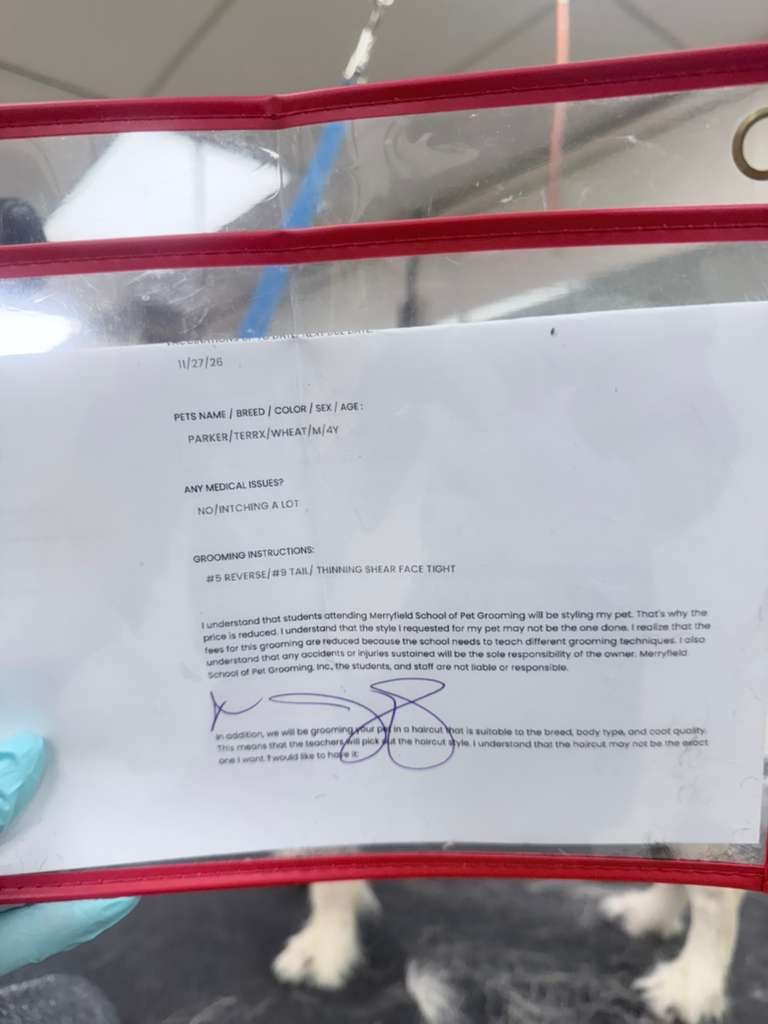 Contrato/Evaluación de estudio